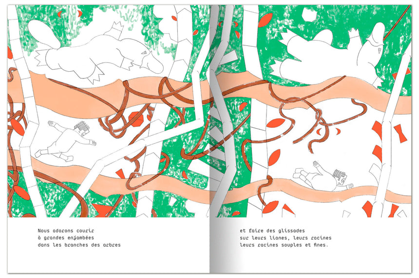 Kiwikidiwi, mon grand ami l'ornithorynque