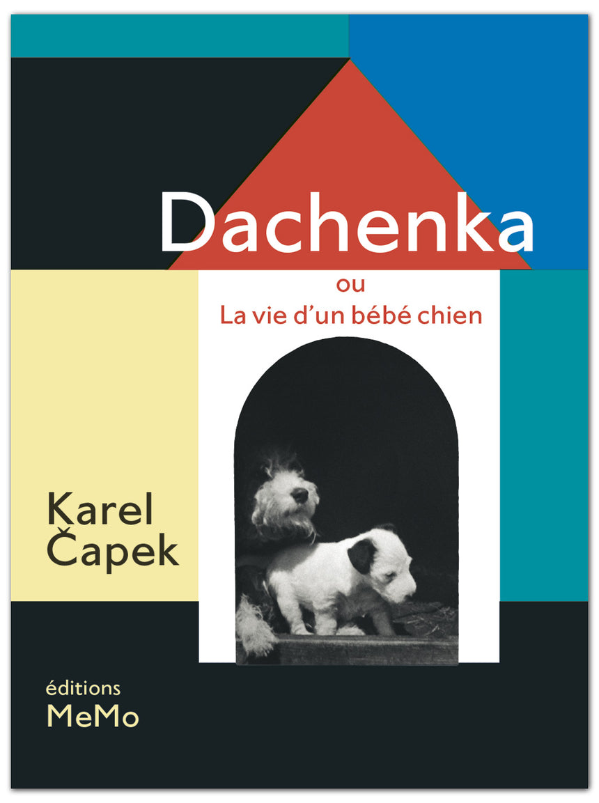 Dachenka ou la vie d'un bébé chien