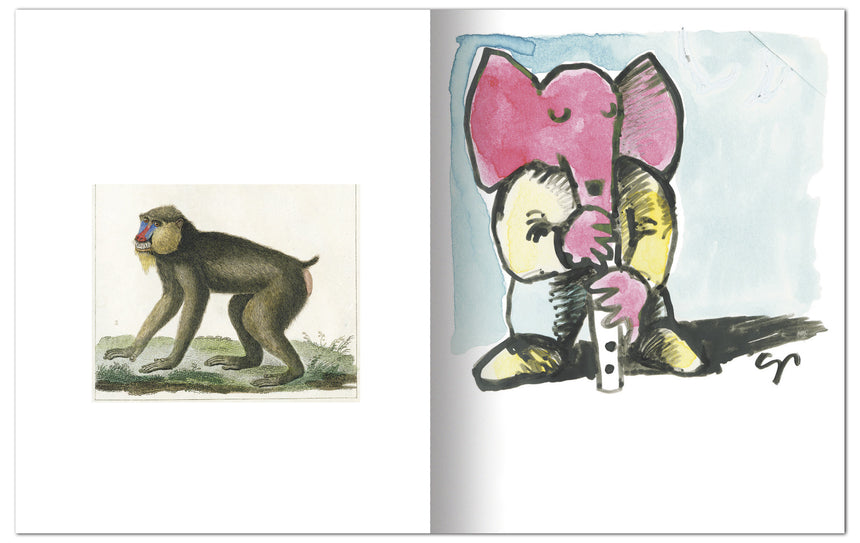 Solotareff imagier – éditions MeMo